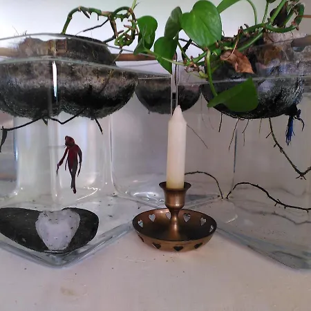 La Maison Bleue Кольмар