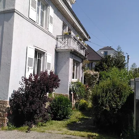 La Maison Bleue 科尔马