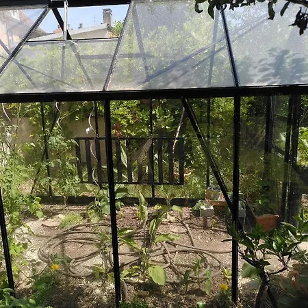 公寓 La Maison Bleue 科尔马