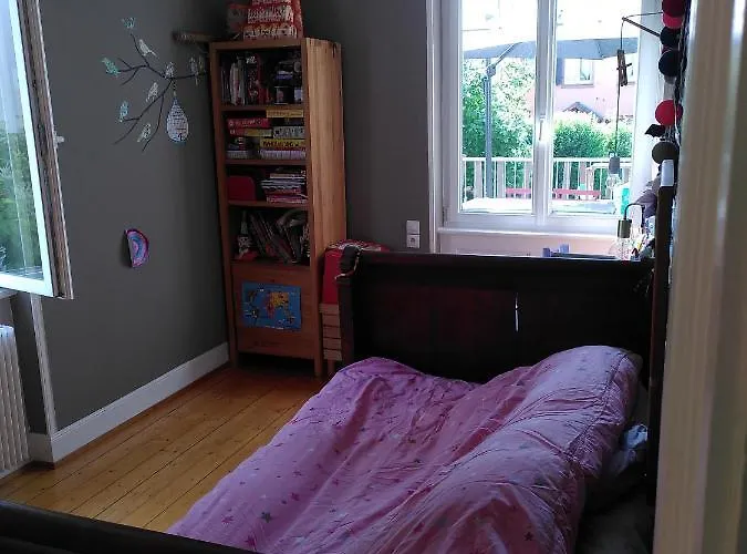 La Maison Bleue Апартаменты Кольмар